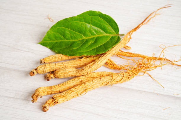 istock Ginseng roots and green leaf, healthy food. 1409273616