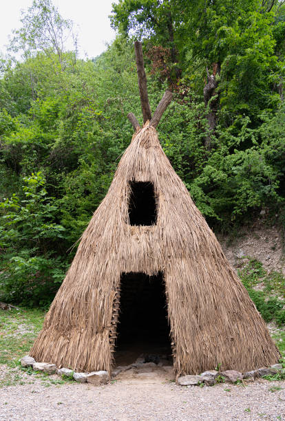 istock Small wood primal hovel in forest 1409275525