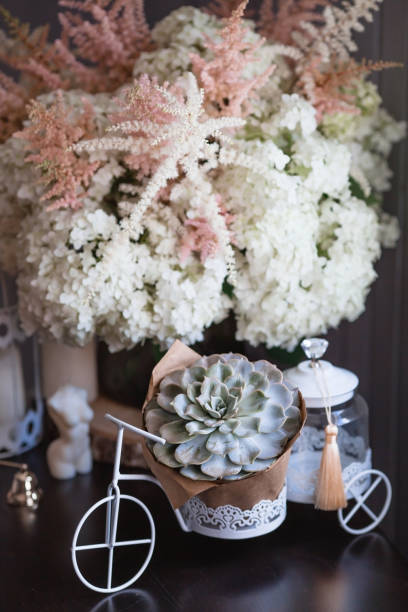 istock A succulent on a decorative bicycle and a bouquet of white hydrangeas and astilba. Interior in Provence style. A concept for a flower shop or home comfort and decor in the house. 1409279608