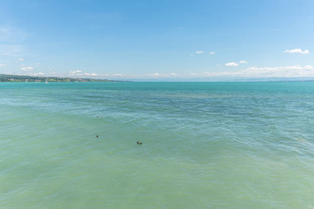 Lake Constance in Germany in spring. Mainau island, Germany.