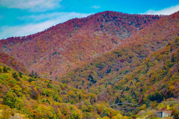 istock Owazuno Bridge in Oku 5 Dam 1409291029