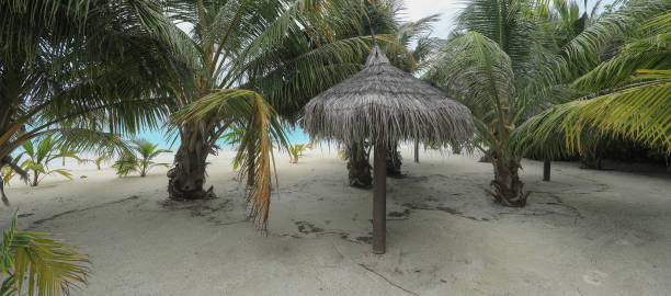Luxury beach canopies at sunset.White beach tents at luxurious resort. Summer beach concept, carefree, rest seaside, Wonderful garden on the back.