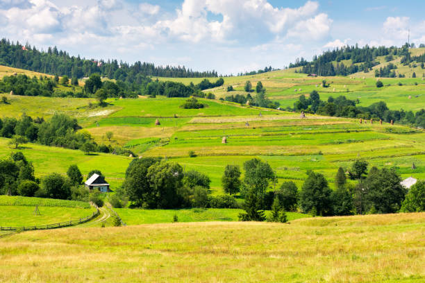 istock mountainous rural landscape on a sunny day 1409295315