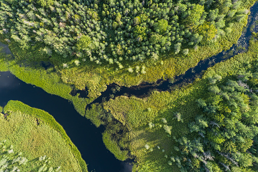 Aerial drone view of a wetland wilderness landscape.