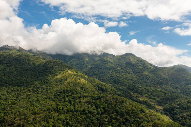 istock Mountains with rainforest and jungle. 1409296703