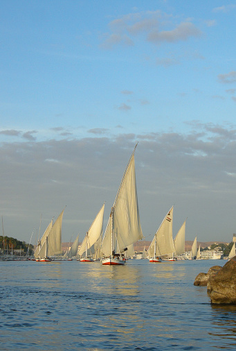 Felucca boats are sailing on Nile River.