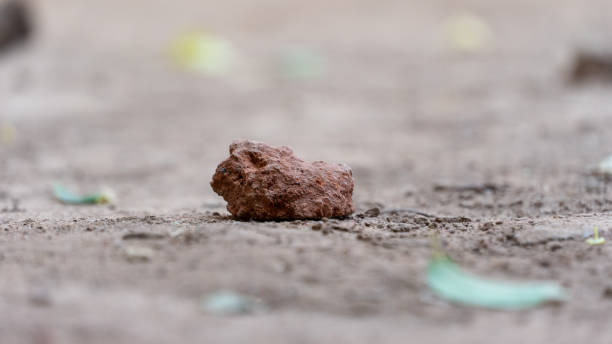 small focused red rock stock photo