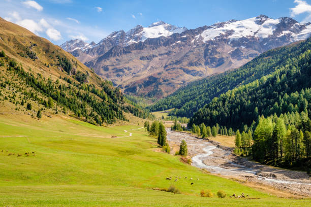istock The valley of Vallelunga (South Tyrol, Italy)  in September 1409301107