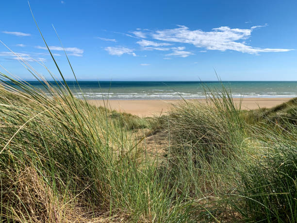 istock Sand dunes and sea grass tussocks. 1409301174