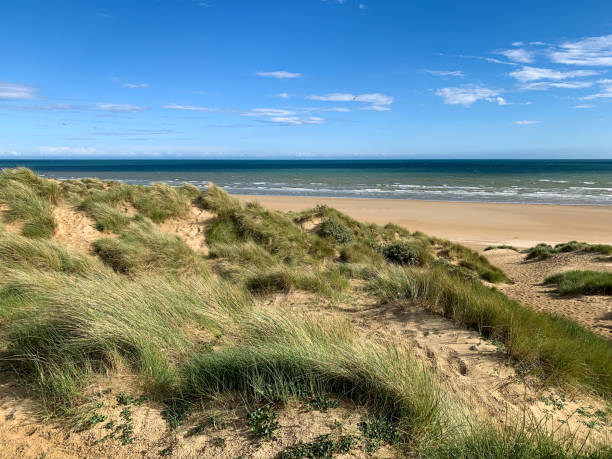istock Sand dunes and sea grass tussocks. 1409301200
