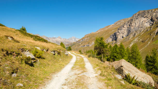 istock Nice hiking trail in the gorgeous Fex Valley (Engadin, Switzerland) 1409301897