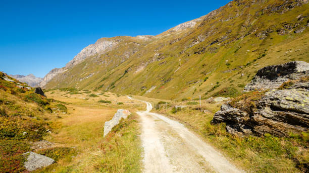 istock Nice hiking trail in the gorgeous Fex Valley (Engadin, Switzerland) 1409301955