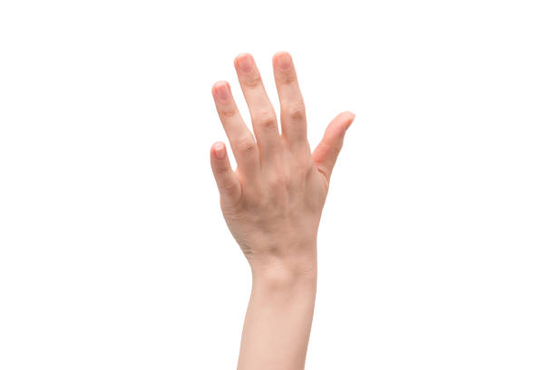 istock Woman hand isolated on a white background. 1409302449