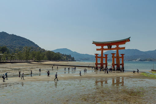 Tourists gather around the Otorii gate at low tide at Itsukushima Shrine, Miyajima, Hiroshima Prefecture.