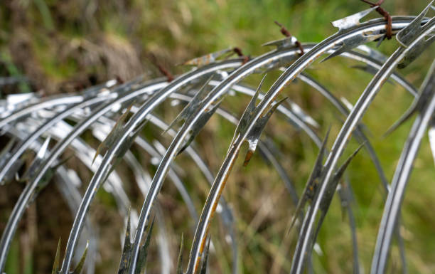 Razor wire closeup view stock photo