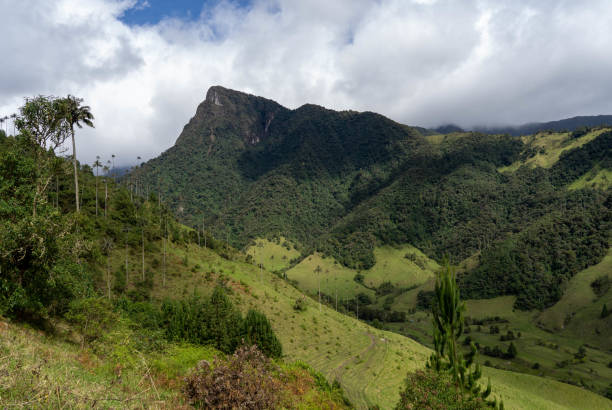 istock Mountain Peak in Cocora Valley, Colombia 1409303694