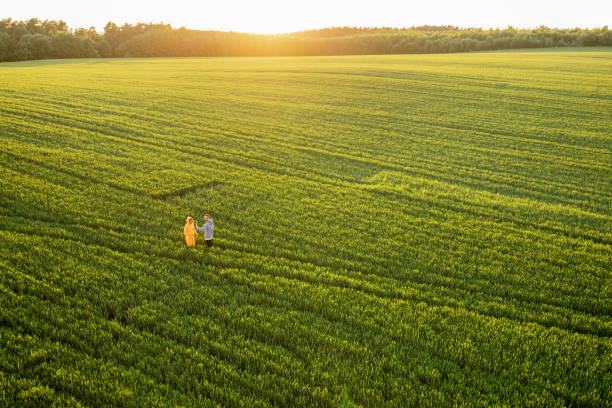 istock Aerial view on green wheat field with couple walking on pathway 1409306977