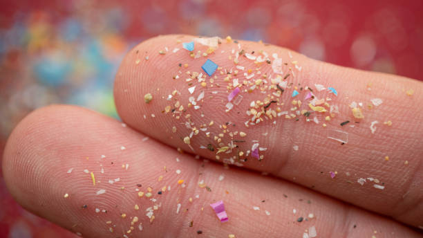 Micro plastic particles on a human finger for scale. Concept for water pollution and global warming. stock photo