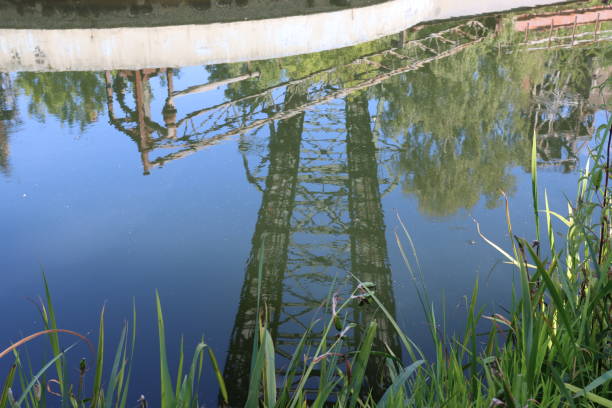 istock Returned nature in the Duisburg Landscape Park 1409308580