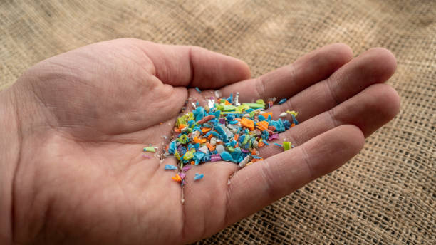 istock Micro plastic particles on a human hand. The concept for water pollution and global warming. 1409308617