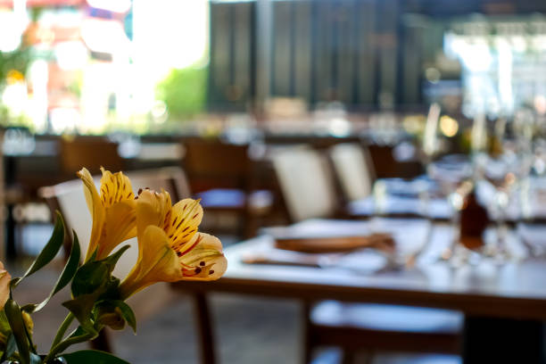 Decorative flowers in a dark atmospheric mood Asian restaurant black interior design scheme Lilies in the foreground and table setting in the background in a dark interior design furniture plan in a contemporary modern Chinese restaurant with wooden tables and chairs rice bowl restaurant stock pictures, royalty-free photos & images