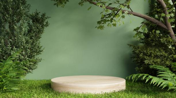 maquette de présentation de podium en bois pour la présentation du produit sur mur vert. - concrete podium photos et images de collection