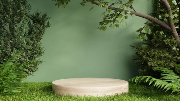 istock Wood podium presentation mock up for product presentation on green wall. 1409310701