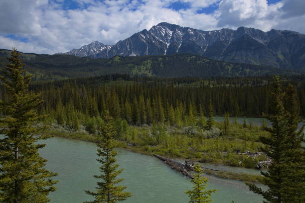 istock View of Bow River from Trans-Canada Highway in Alberta Province,Canada,North America 1409310974