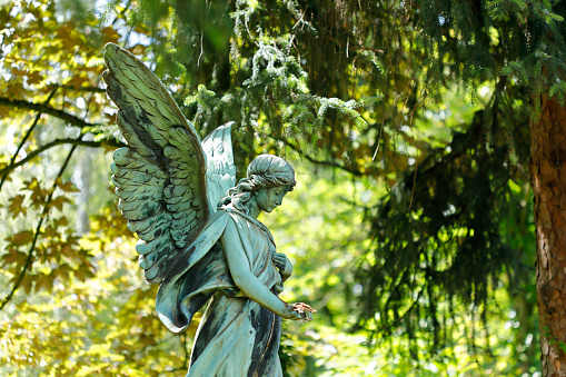 head shot of an angel with wings wide-spread looking down at the grave below