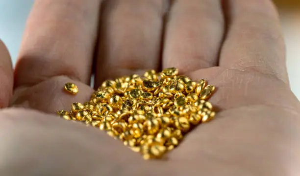 A bunch of gold pellets on a man's palm. Selective focus.