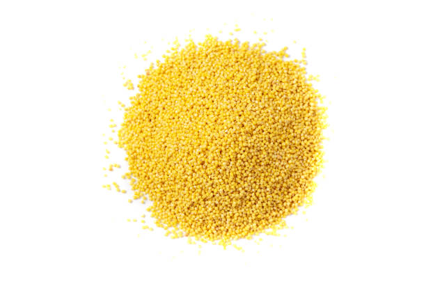 istock puffed amaranth grain isolated on white. Ancient grain food 1409318930