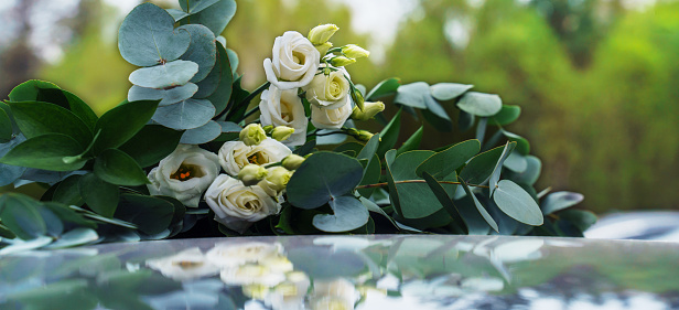 Bouquet with white roses and eucalyptus branches on the hood of a car. Present, spring time, happy women's day.