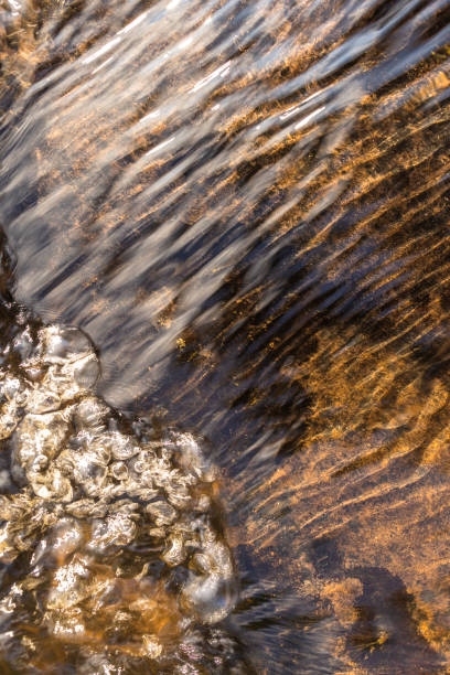 istock Clear transparent water flowing in a mountain stream. 1409321129