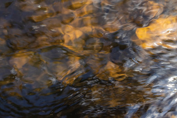 Flowing water surface in closeup