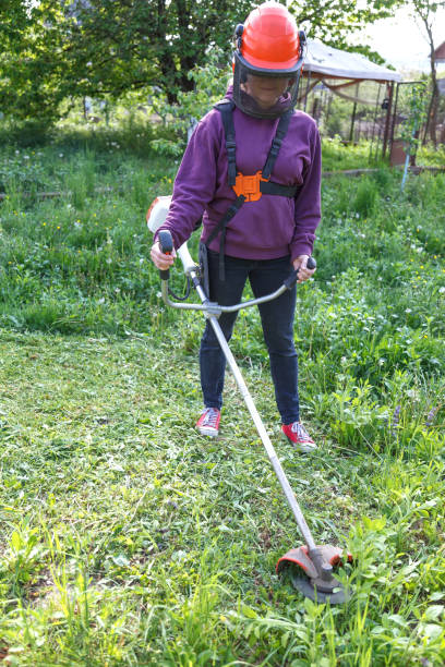 istock Woman farmer mows the grass in the backyard using string trimmer 1409322475
