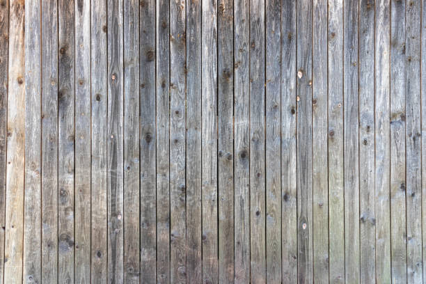 Grey barn wooden wall planking texture. hardwood dark weathered timber surface. old solid wood slats rustic shabby gray background. grunge faded wood board panel structure, close up stock photo
