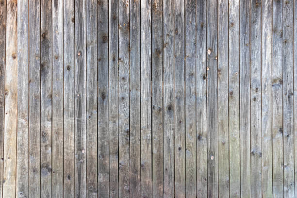 grey barn wooden wall planking texture. hardwood dark weathered timber surface. old solid wood slats rustic shabby gray background. grunge faded wood board panel structure, close up - barn door imagens e fotografias de stock