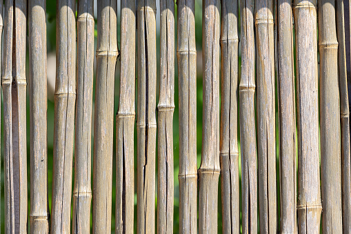 Bamboo fence or wall texture background for interior or exterior design.