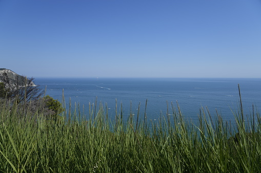 Chiba, Japan.