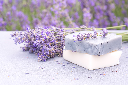 Natural handmade soap bars against lavender flowers field as background with copy space. Craft herbal cosmetics, lavender beauty products