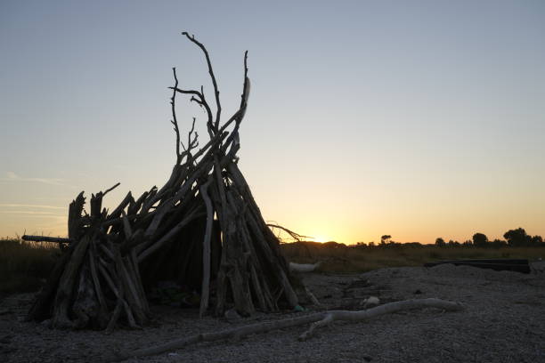 driftwood hut on the beach