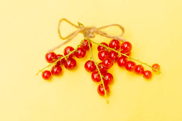 Red currant berries on a branch on the yellow background.