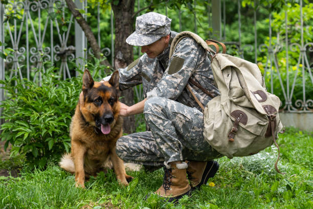 istock military meeting with a dog 1409332389