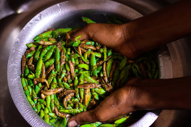 High quality Ugandan Nsenene grasshoppers being hand washed