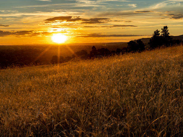 istock Sunset over the foothills above Boise Idaho 1409340676