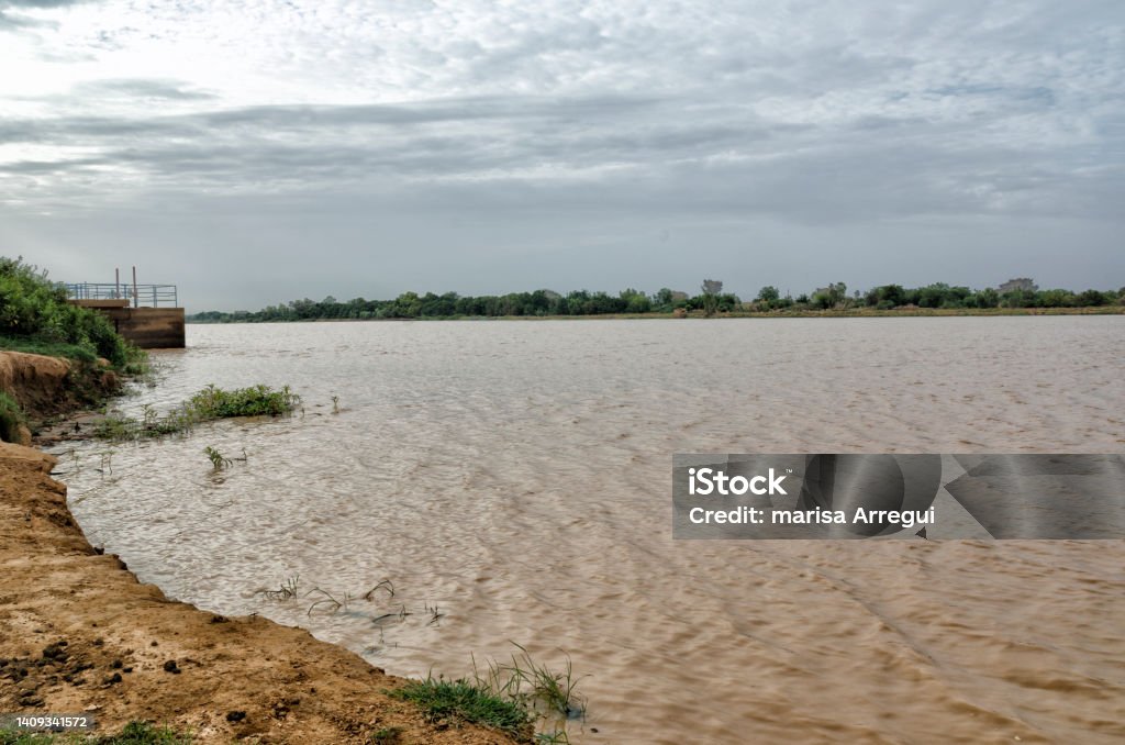 The Flora Around The Niger Stock Photo Download Image Now Niger