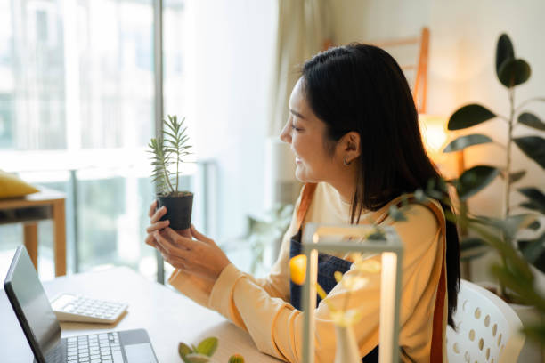 소셜 네트워크에서 식물을 판매하는 행복한 아시아 여성. - small business enjoyment growth planning 뉴스 사진 이미지