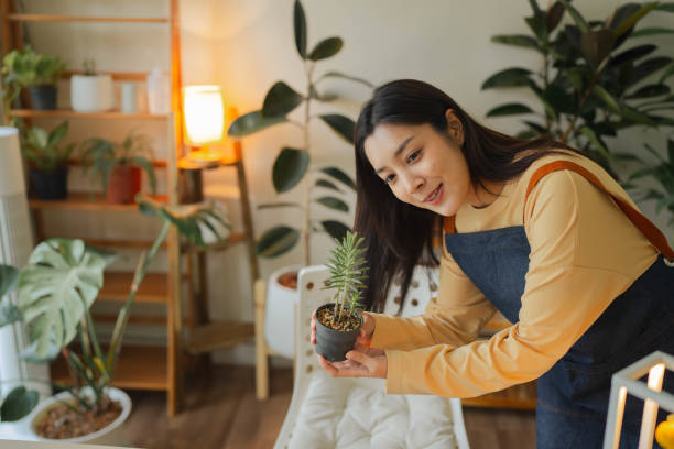 femme asiatique heureuse vendant des plantes sur les réseaux sociaux. - small business enjoyment growth planning photos et images de collection