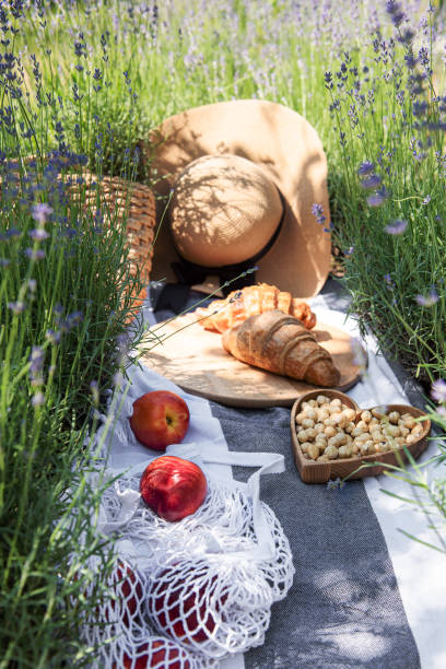 istock A summer picnic in a lavender field 1409343400