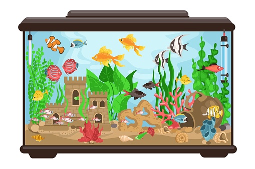 Aquarium Clip Art Free Download
